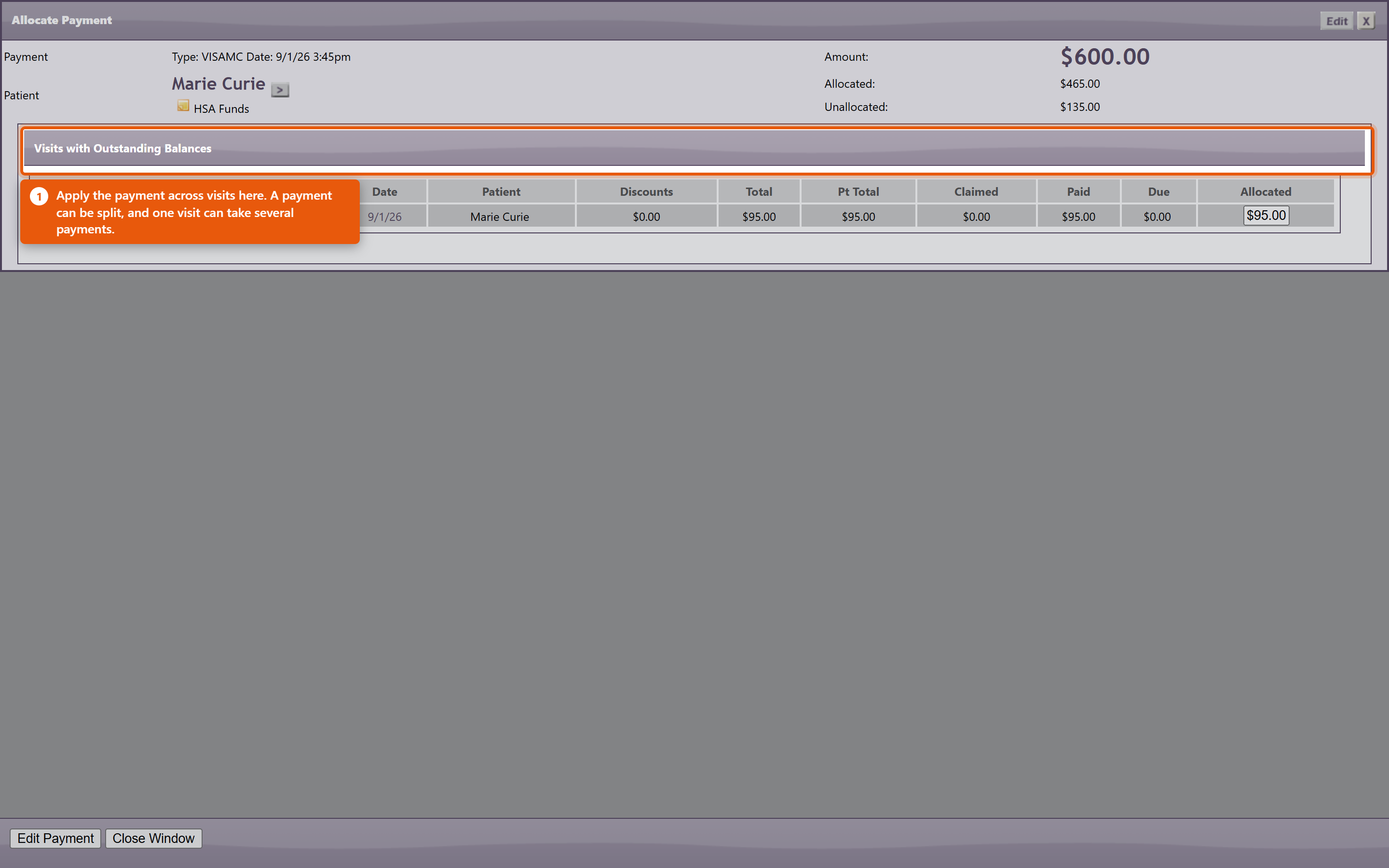 Allocate Payment: a $600 payment with $465 applied and $135 still unallocated, above the list of visits with outstanding balances.